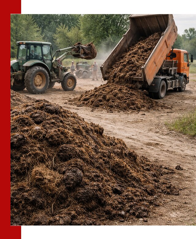Доставка навоза самосвалами в Барнауле для сельхозпотребностей